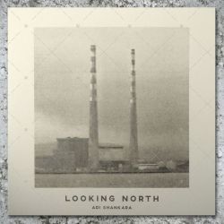 Adi Shankara - Looking North