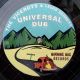 The Viceroys & Lewis Bennett - Universal Love