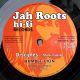 Disciples - Positive Vibration