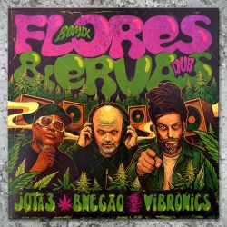 Vibronics meets Jota 3 - Flores e Evras Remix