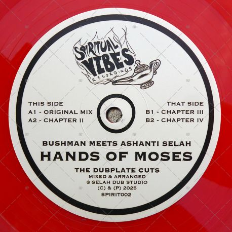 Bushman meets Ashanti Selah - Hands Of Moses