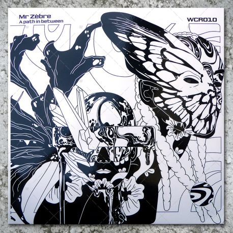 Mr Zebre - A Path In Between