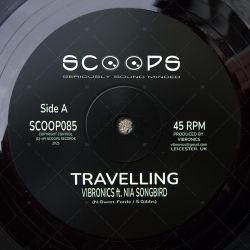 Vibronics feat. Nia Songbird - Travelling