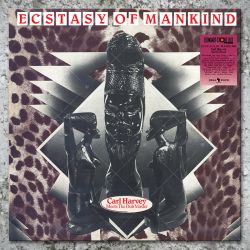 Carl Harvey meets The Dub Master - Ecstasy Of Mankind