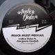 Indica Dubs feat. Morgana Souljah - Peace Must Prevail