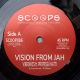 Vibronics feat. Professa Natti - Vision From Jah