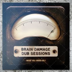 Brain Damage - Dub Sessions