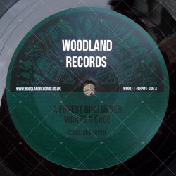 Conscious Youth - A Forest Bird Never Wants A Cage