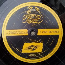 Violinbwoy feat. Kali Green & Saralène - I Man Be Free
