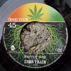 Zion Train - Warrior Step