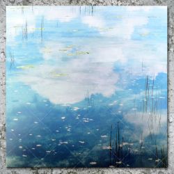 AMJ meets RSD - Sky Blue Love