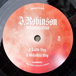 J. Robinson - Earth Step