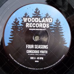 Conscious Youth - Four Seasons