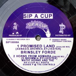 Brinsley Ford - Promised Land