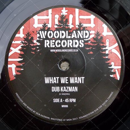 Dub Kazman - What We Want