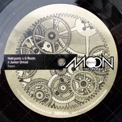Halcyonic & G Roots feat. Junior Dread - Future