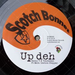 Danny T & Tradesman feat. Mark Iration - Up Deh