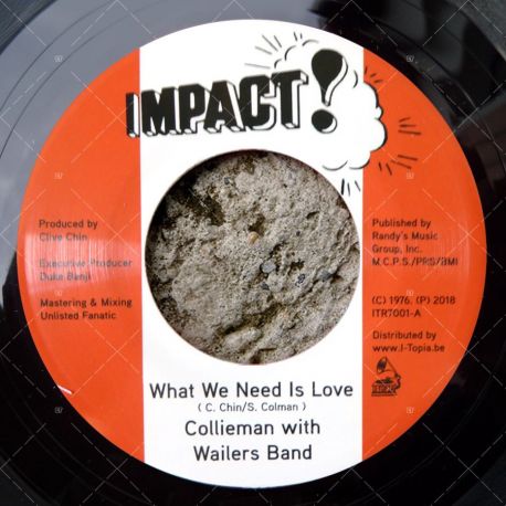 Collieman with Wailers Band - What We Need Is Love