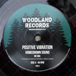 Homegrown Sound feat. Mc Mia - Positive Vibration