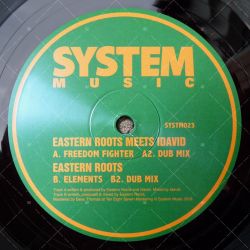 Eastern Roots meets I David - Freedom Fighter