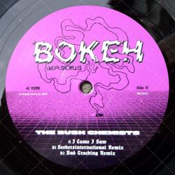 The Bush Chemists - I Came I Saw