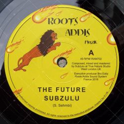 Subzulu - The Future
