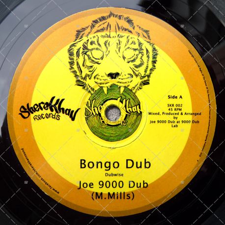 Joe 9000 Dub - Bongo Dub