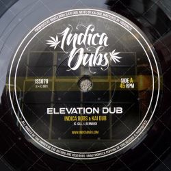 Indica Dubs & Kai Dub - Elevation Dub
