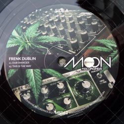 Frenk Dublin - Dub Swinger