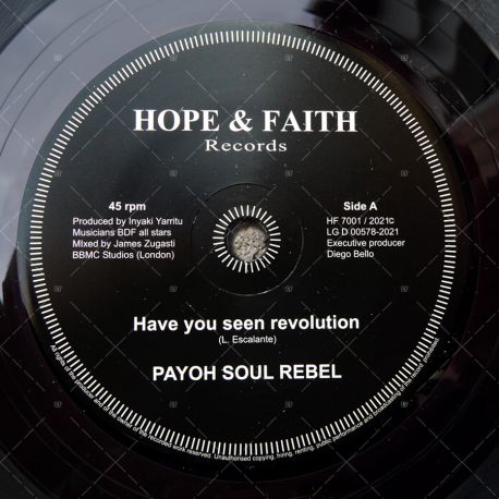 Payoh Soul Rebel - Have You Seen Revolution