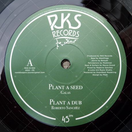 Galas - Plant A Seed