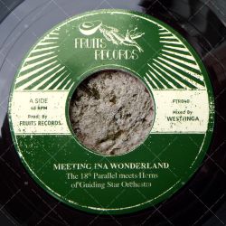 The 18th Parallel meets Horns Of Guiding Star Orchestra - Meeting Ina Wonderland
