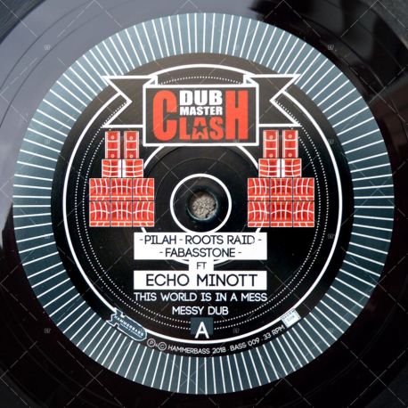 Dub Master Clash: Echo Minott - This World Is In A Mess