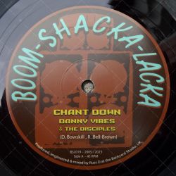 Danny Vibes & The Disciples - Chant Down