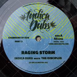 Indica Dubs meets The Disciples - Raging Storm