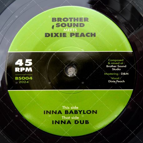Brother Sound meets Dixie Peach - Inna Babylon