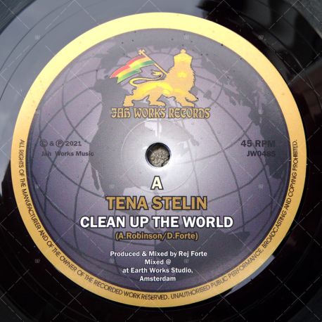 Tena Stelin - Clean Up The World
