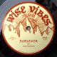 Wise Rockers - Survivor